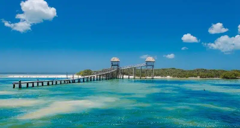Comment Se Rendre De Playa Del Carmen à Holbox, Au Mexique.