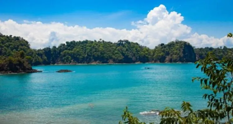 Wie Kommt Man Von Tamarindo Nach Manuel Antonio, Costa Rica 3 How To Get From Tamarindo To Manuel Antonio, Costa Rica