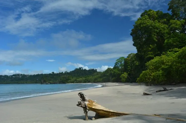 Come Arrivare Da Tamarindo A Manuel Antonio, Costa Rica