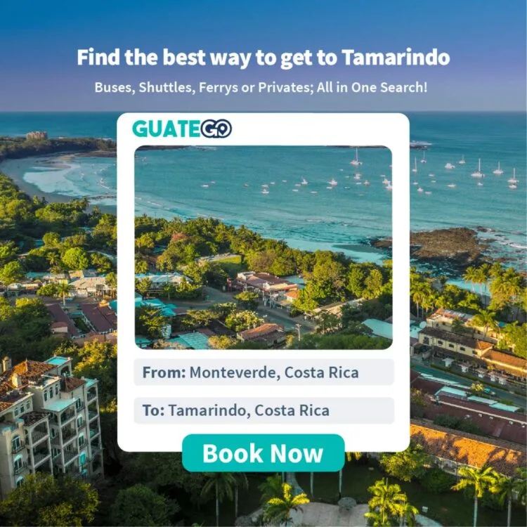 Monteverde To Tamarindo