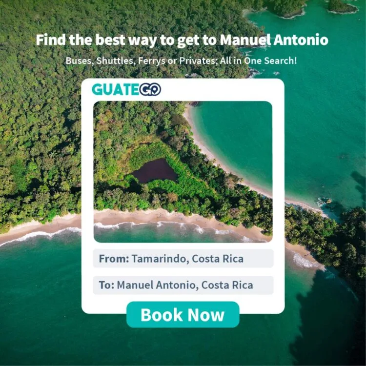 Tamarindo To Manuel Antonio