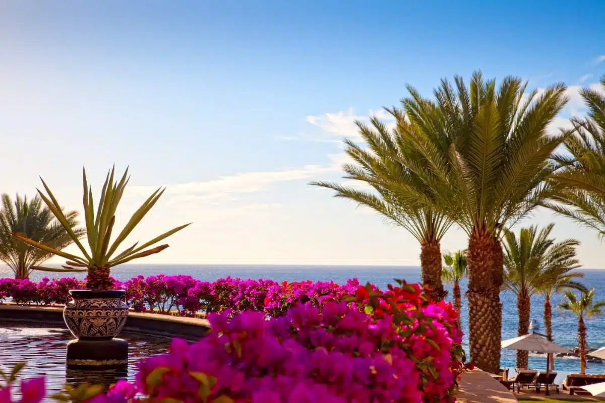 Où Se Trouve Cabo San Lucas