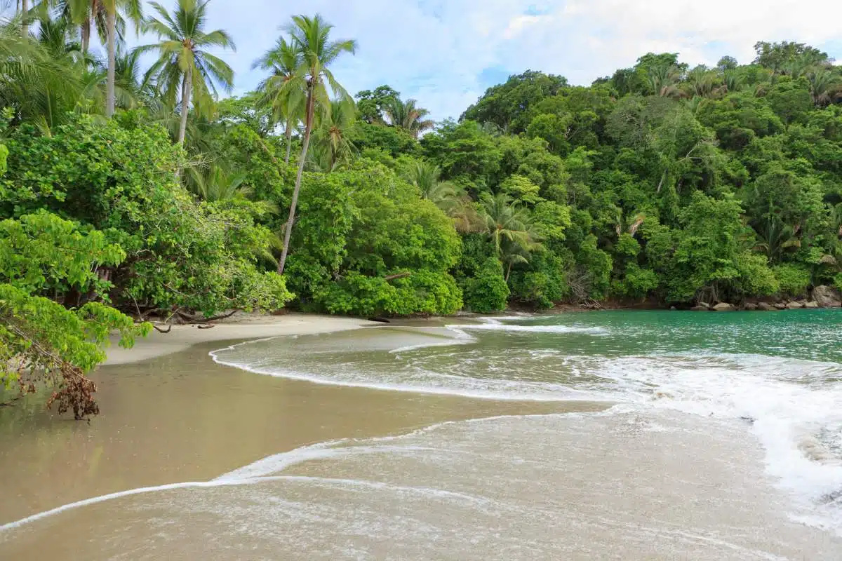 Come Andare Da-Tamarindo A Manuel-Antonio-Costa-Rica3