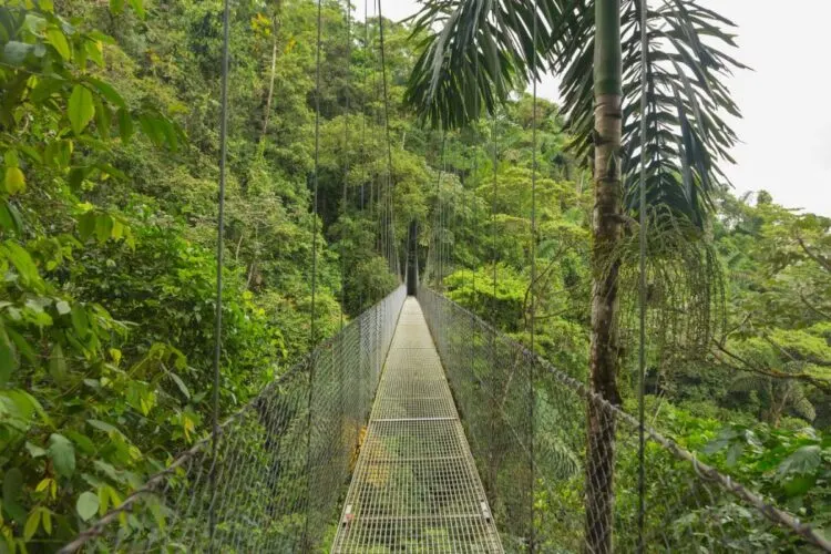 Wie-Kommt-Man-Von-Tamarindo-Nach-Monteverde-Costa-Rica2