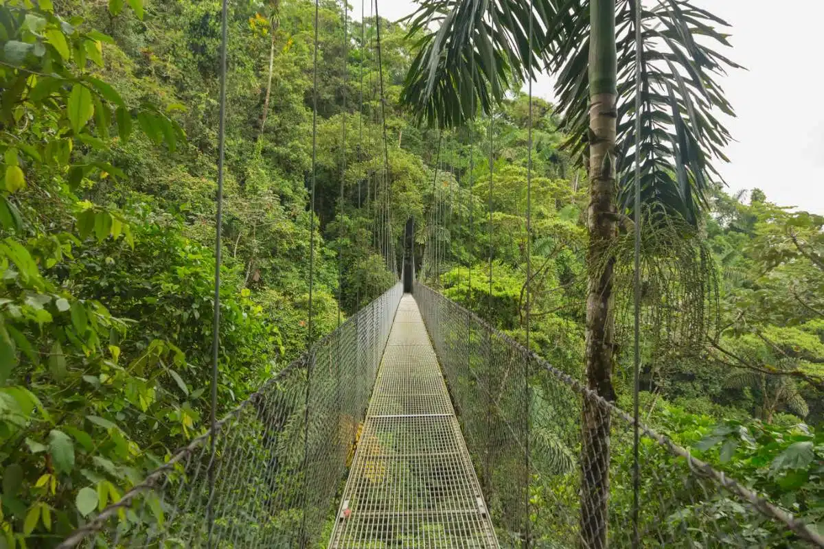 CóMo Ir De Tamarindo A Monteverde-Costa-Rica2