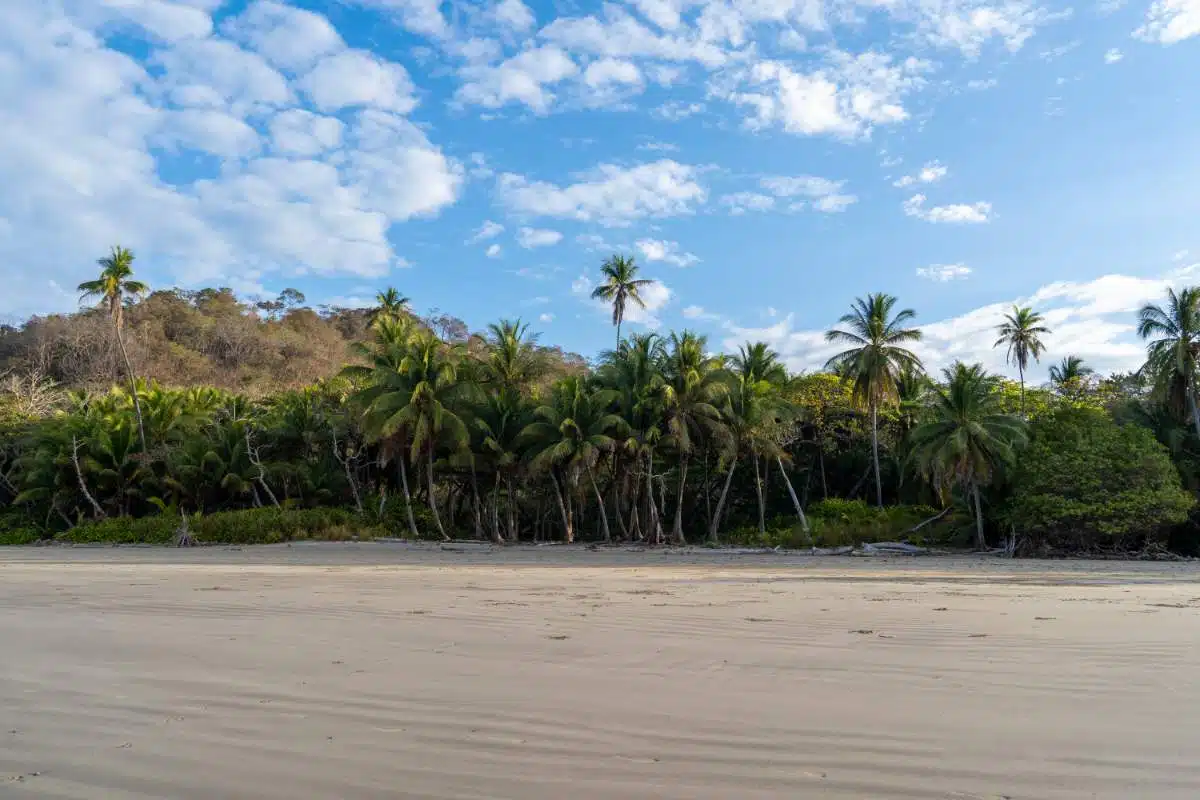 Como Viajar De San Jose A Santa Teresa
