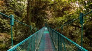 How to get from Tamarindo to Monteverde, Costa Rica