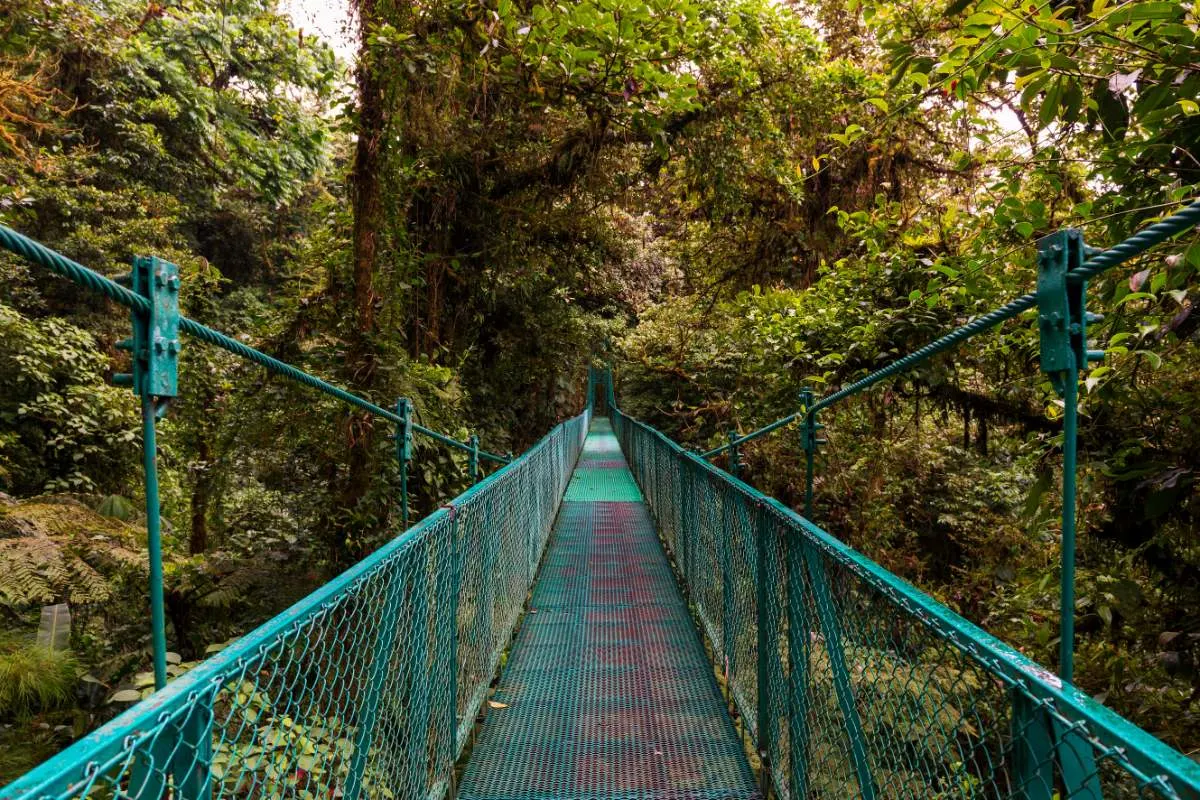 Hoe Kom Je Van Tamarindo Naar Monteverde, Costa Rica?