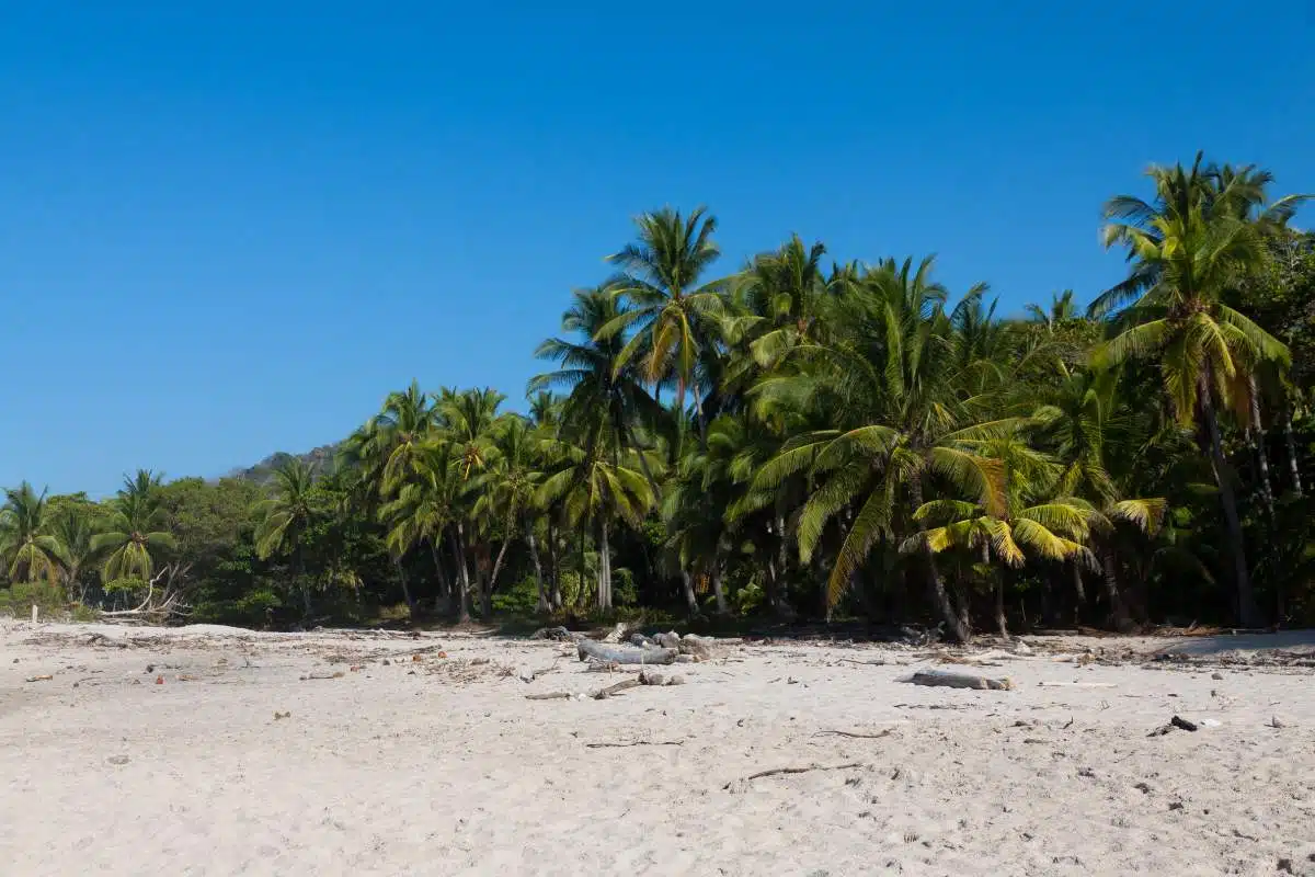 De Montezuma A Santa Teresa