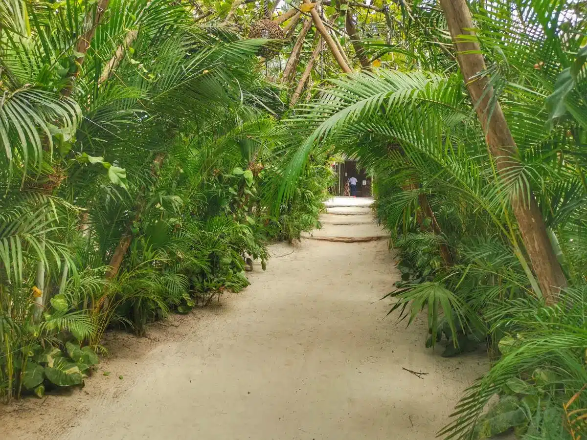 Restaurante Mia Y Club De Playa Tulum7