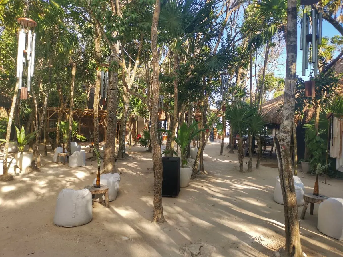 O Tulum Beach Club Do Projecto Papaya Playa