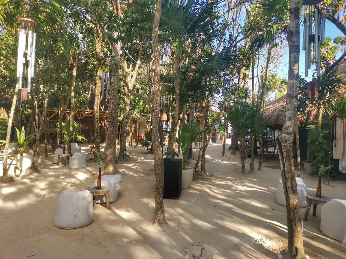El Proyecto Papaya Playa Beach Club Tulum