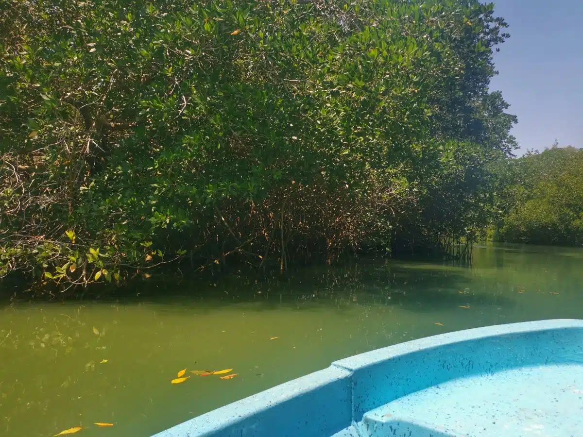 Hoe Kom Je Van Puerto Escondido Naar Chacahua, Mexico5?
