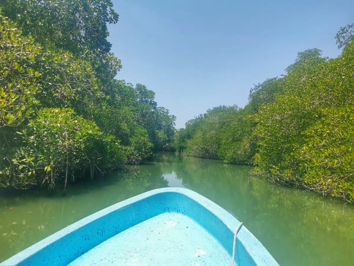 Hoe Kom Je Van Puerto Escondido Naar Chacahua, Mexico6?