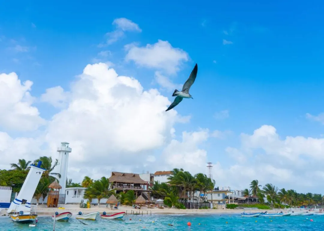 How To Get From Cancun Airport To Puerto Morelos, Mexico