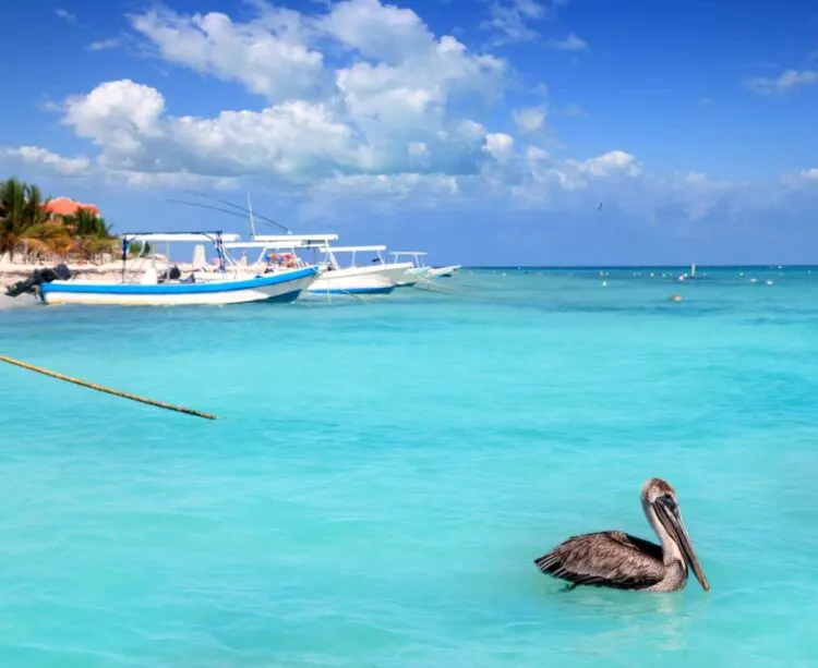 Aeropuerto De CancúN A Puerto Morelos