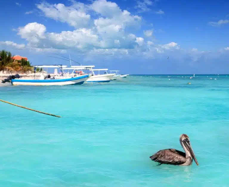 Cancun Airport To Puerto Morelos