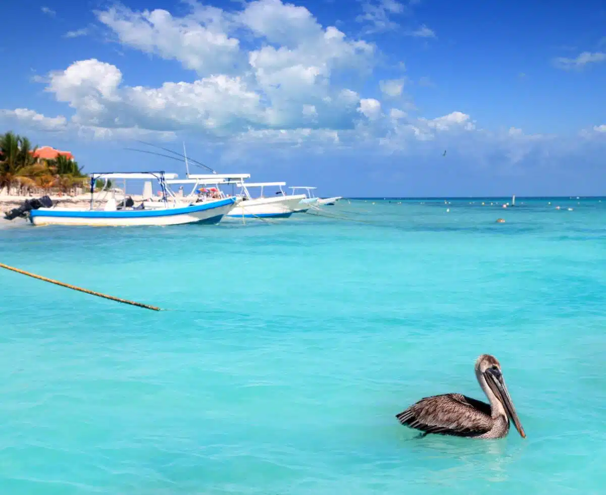 Cancun Flughafen Nach Puerto Morelos