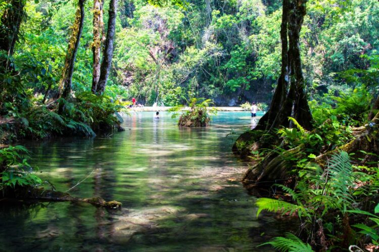 Flores Naar Lanquin