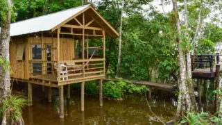 De Flores à Rio Dulce