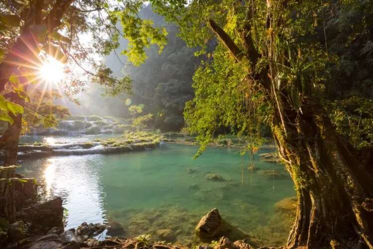 CóMo Llegar De Flores A Semuc Champey, Guatemala