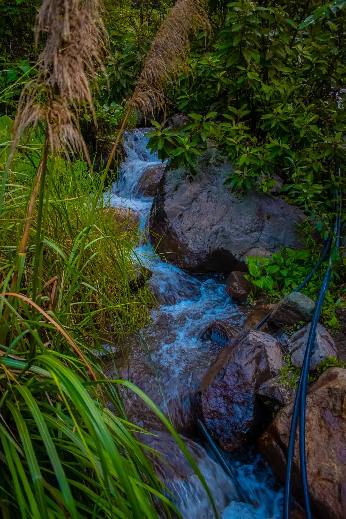 Wie Kommt Man Von Lanquin Nach Rio Dulce, Guatemala1