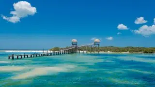Wie kommt man von Cozumel nach Holbox, Mexiko