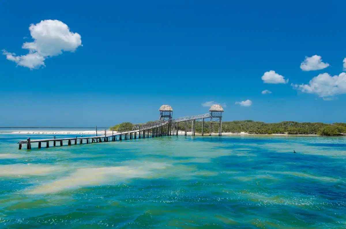 Come Arrivare Da Cozumel A Holbox, Messico