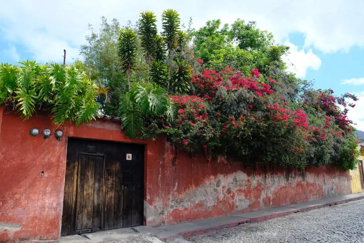 How To Get From Semuc Champey To Antigua, Guatemala