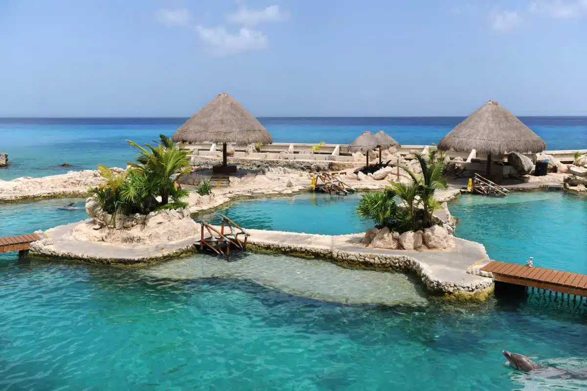 CóMo Llegar De Holbox A Cozumel, MéXico