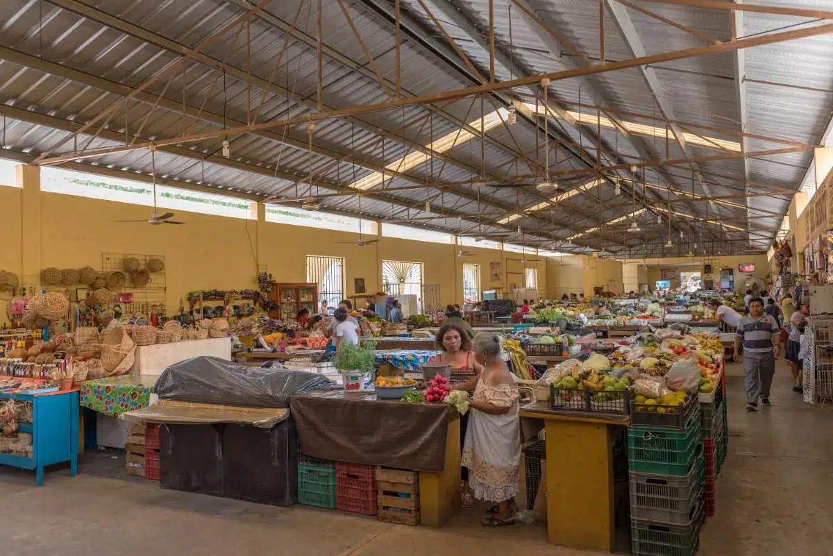 Hoe Kom Je Van Holbox Naar Valladolid, Mexico?