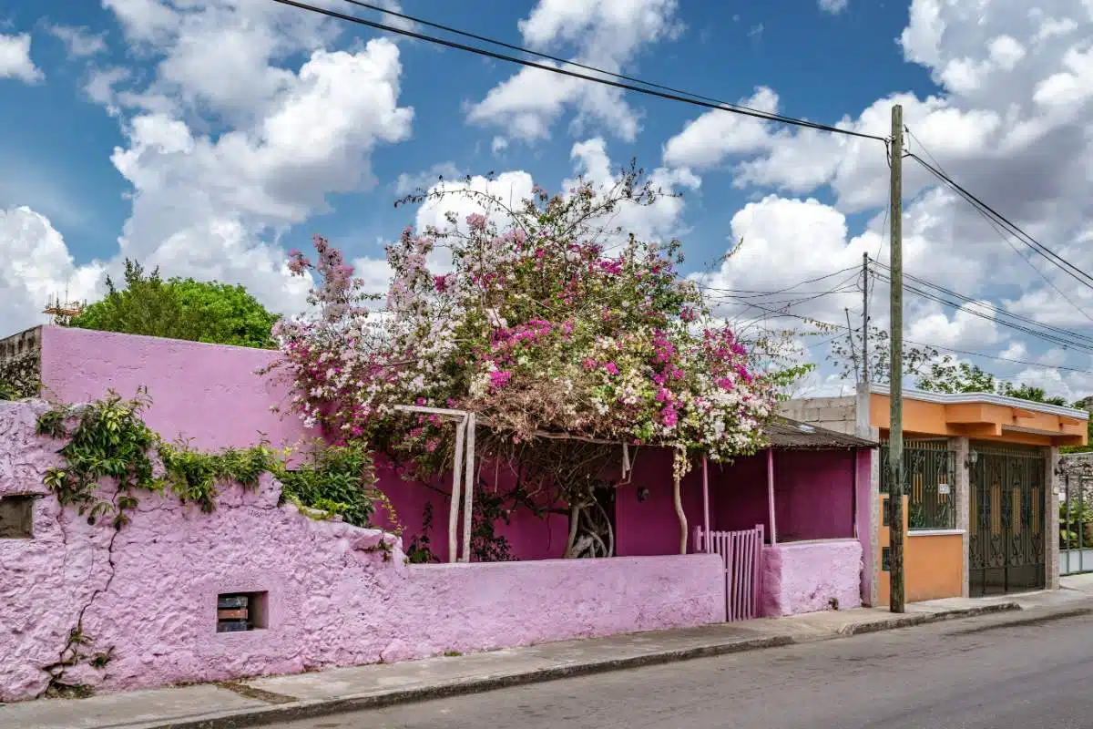 Comment Se Rendre De Holbox à Valladolid, Au Mexique.