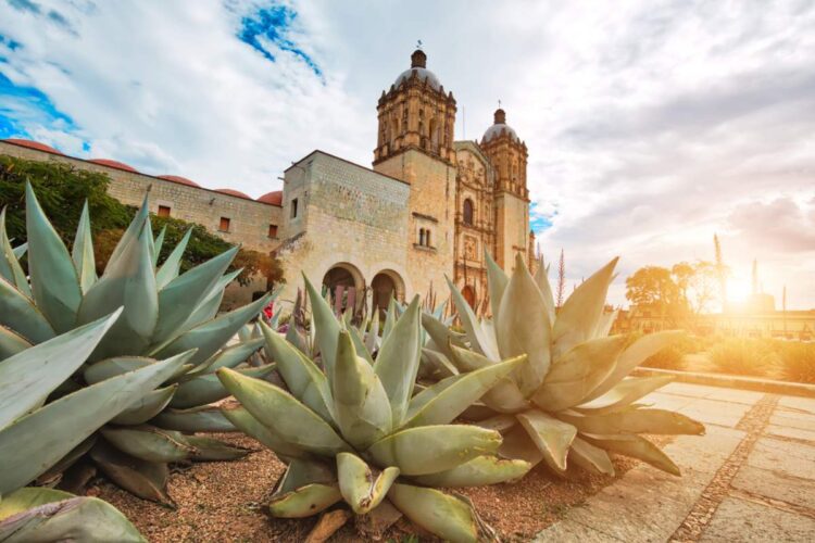 How To Get From Huatulco To Oaxaca City, Mexico