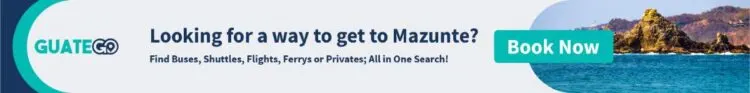 Looking For A Way To Get To Mazunteuniversal Traveller