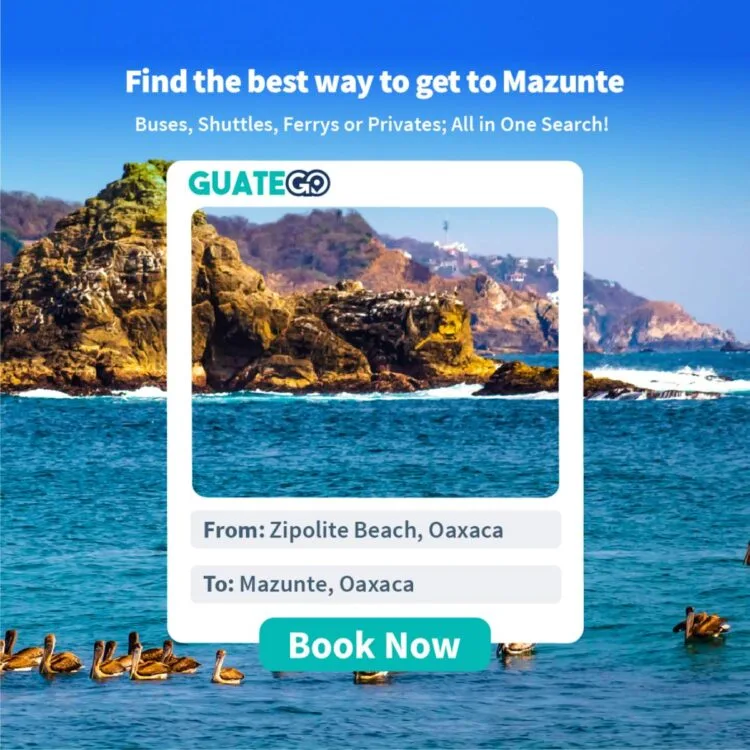 Hoe kom je van Zipolite naar Mazunte, Mexico?