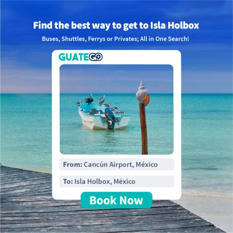 From Cancún Airport To Isla Holbox
