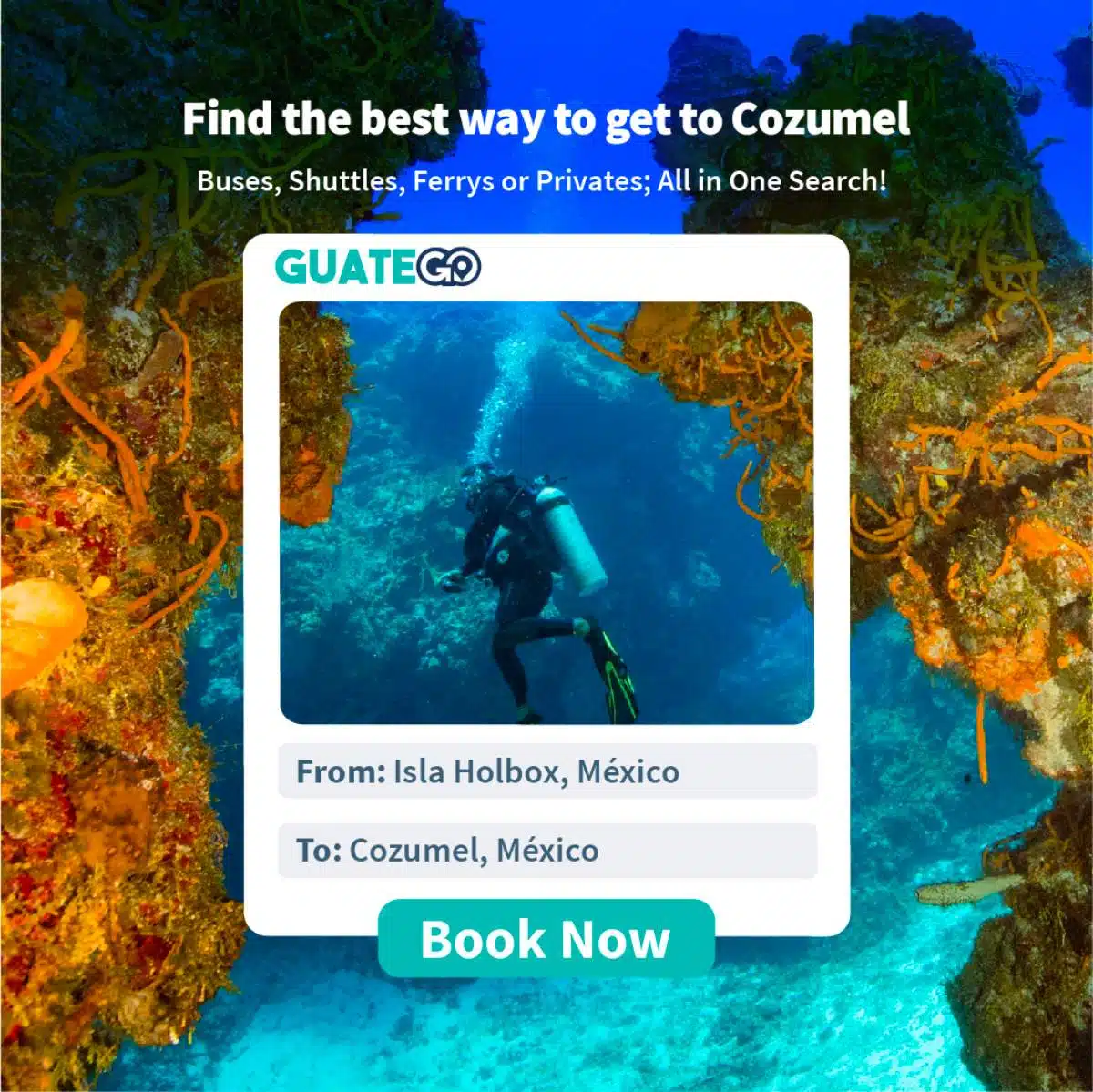 De Holbox à Cozumel