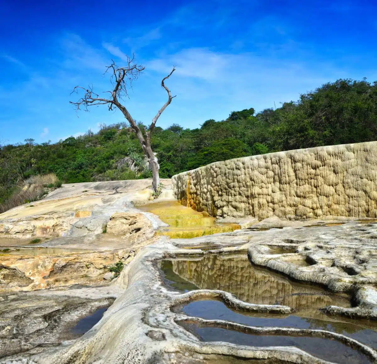 Petrified Waterfall