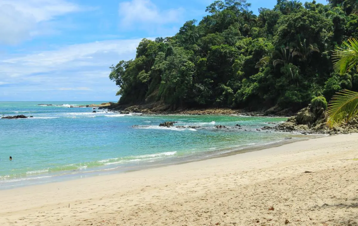 How To Get From Jaco To Manuel Antonio National Park Costa Rica1