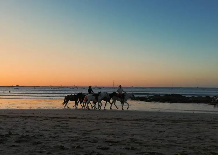 How To Get From Liberia Airport To Tamarindo1