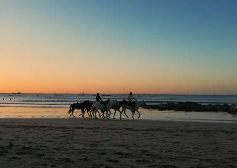 3 Best Ways To Get From Tamarindo To Liberia Airport, Costa Rica
