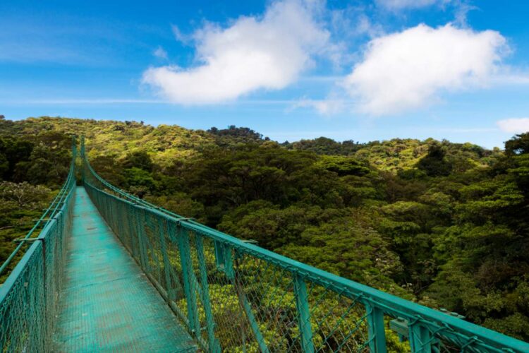 How To Get From San Jose Costa Rica To Monteverde Cloud Forest1