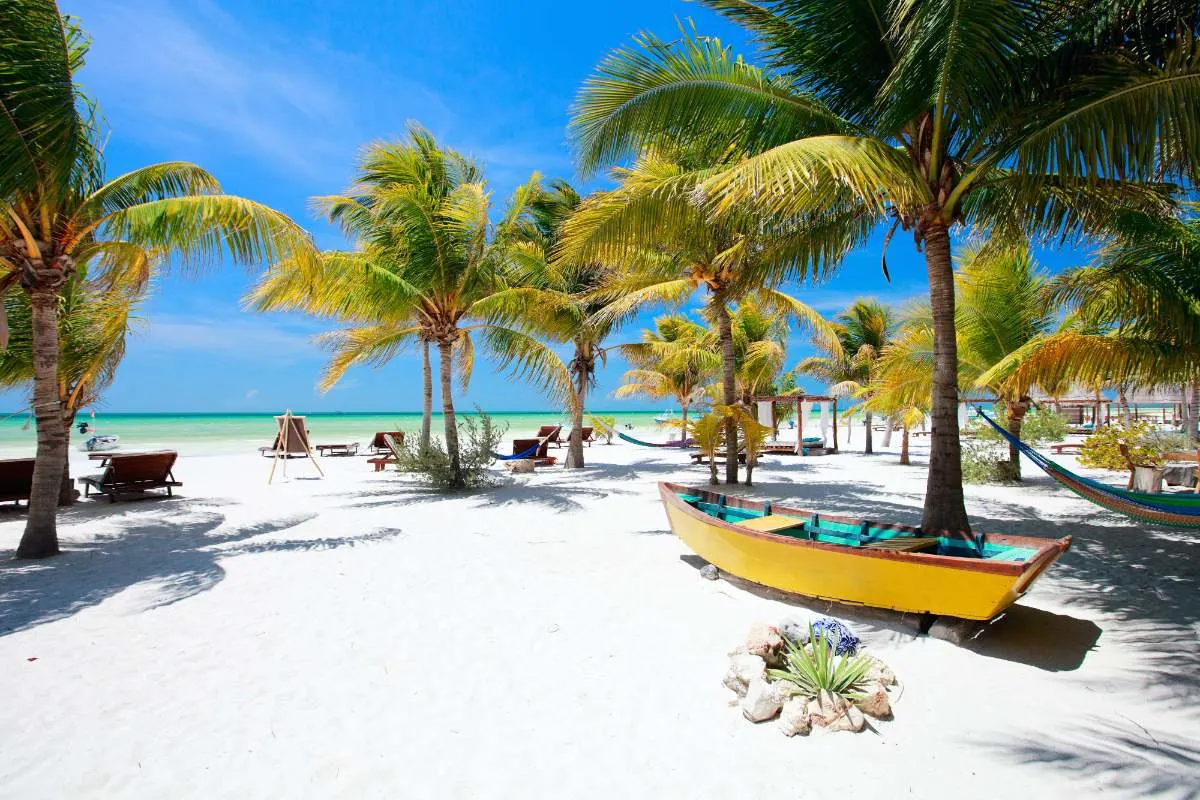 How To Travel From Merida To Holbox