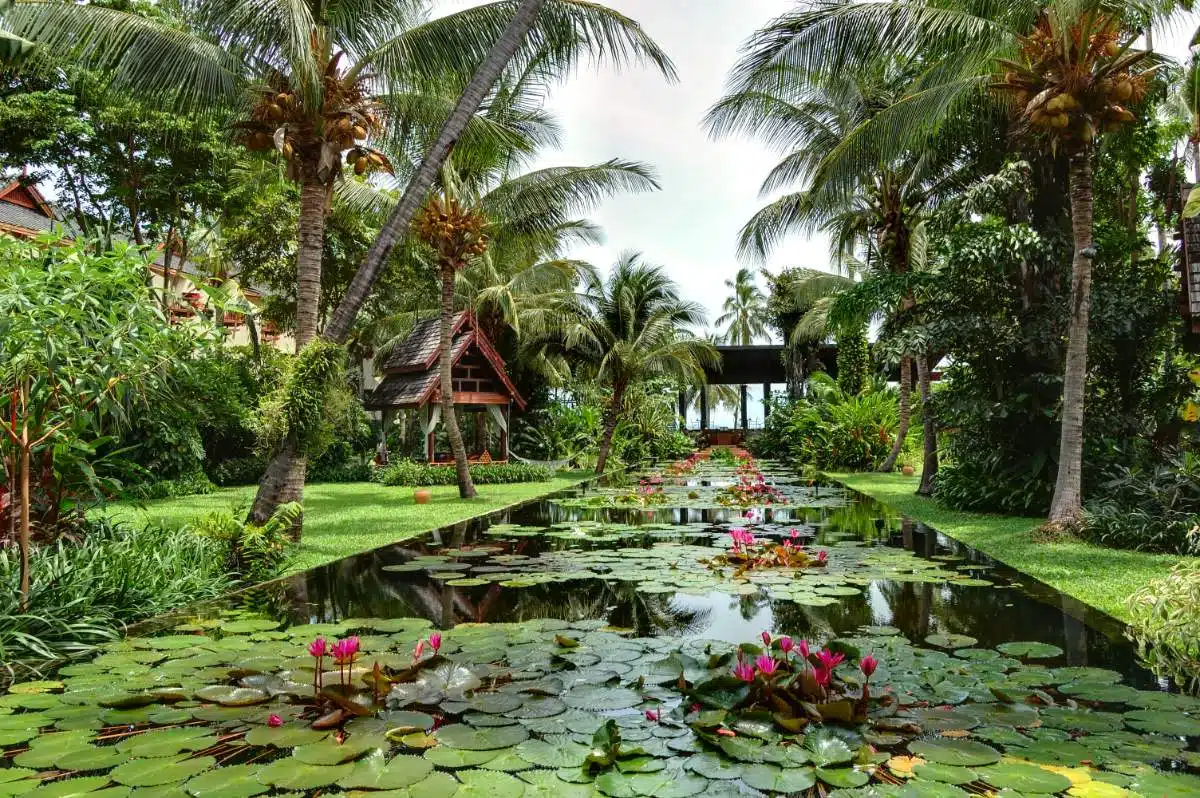 Hoe Kom Je Van Phuket Naar Ko Samui, Thailand?