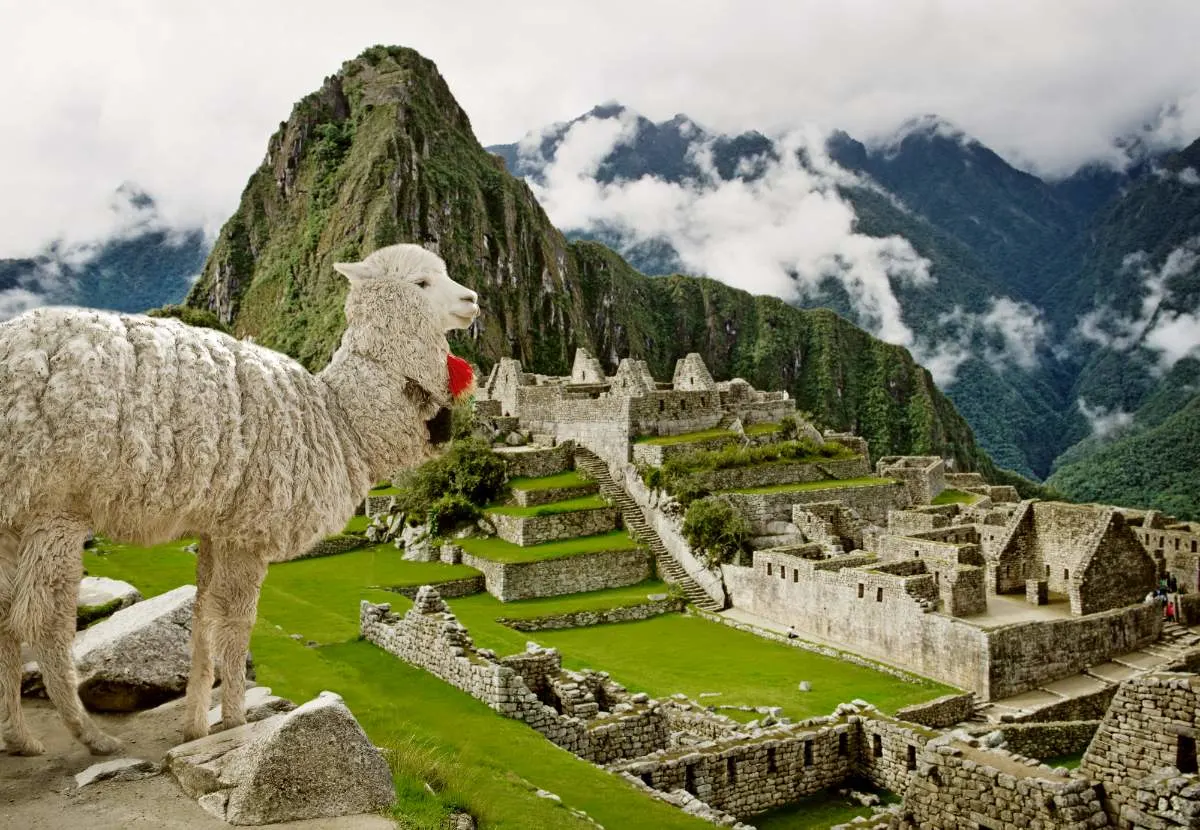 Cusco To Machu Picchu2