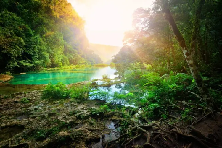 Hoe Kom Je Van Rio Dulce Naar Semuc Champey, Guatemala?