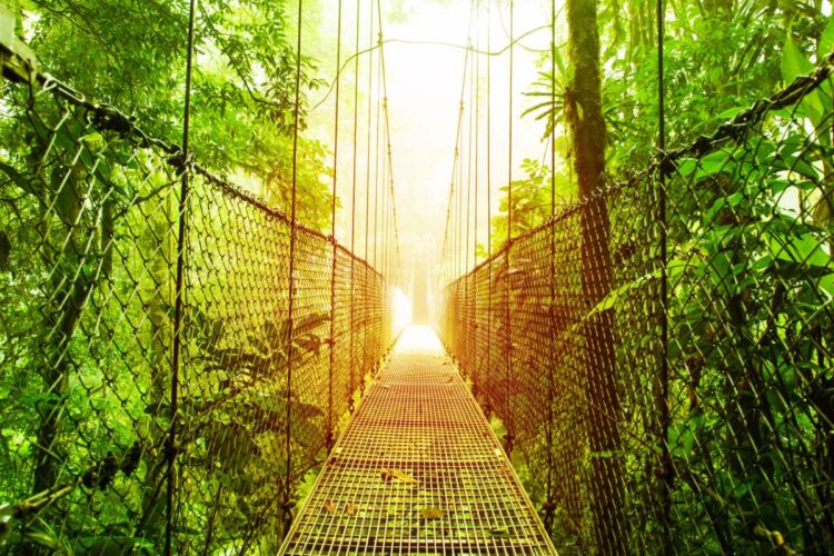 MíStico Pendurado Pontes Para Fazer Coisas Arenal Costa Rica
