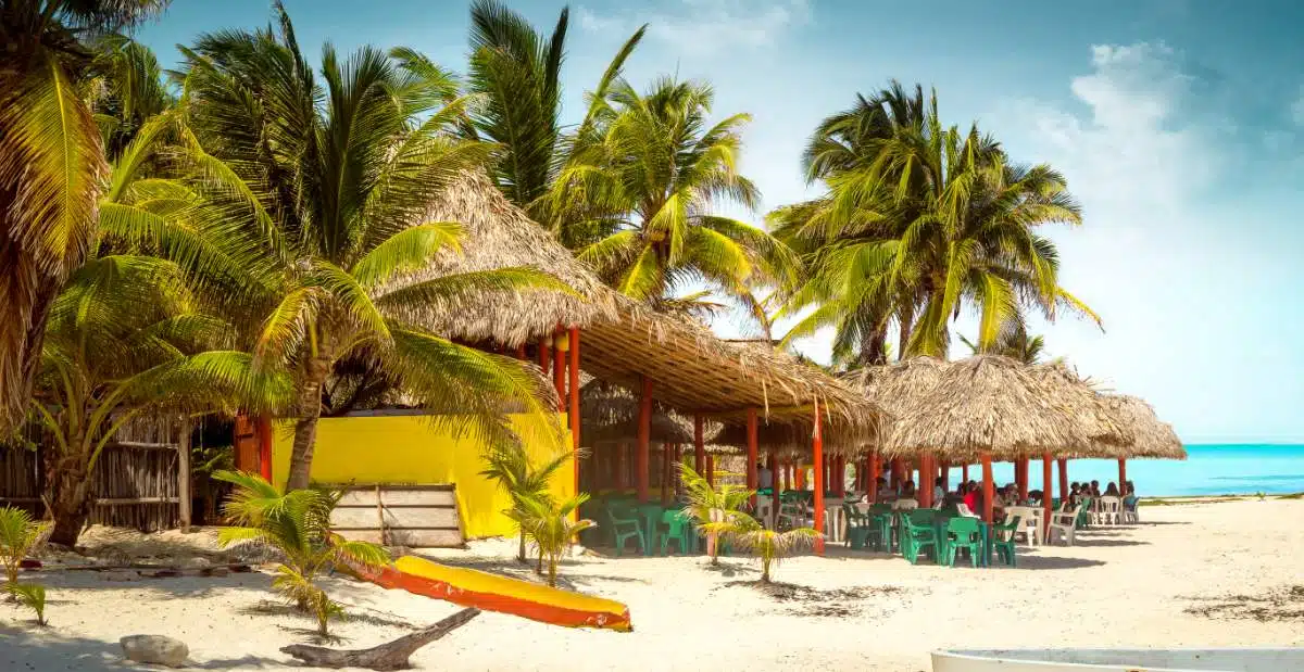 Comment Se DéPlacer Dans Cozumel