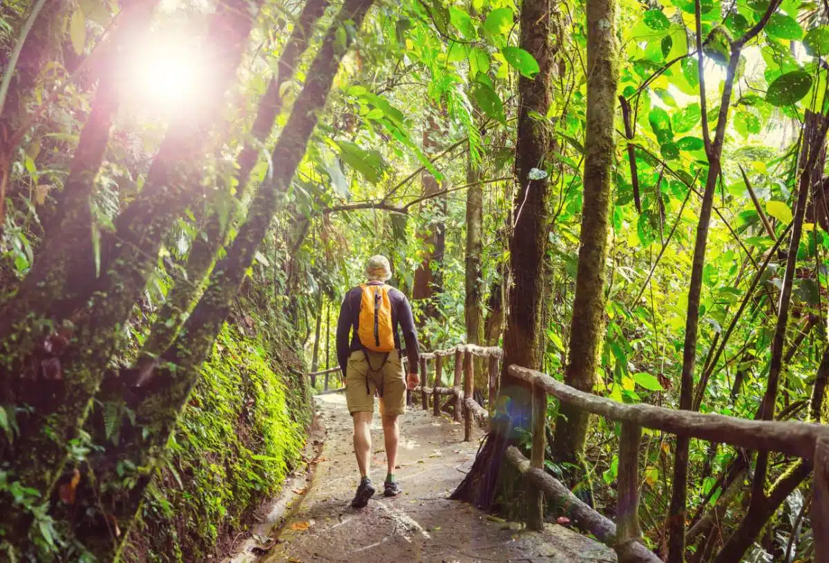 Caminhada Do VulcãO Arenal