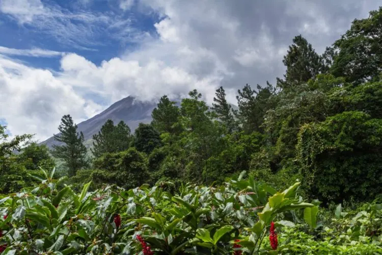 Arenal Volcano National Park Costa Rica